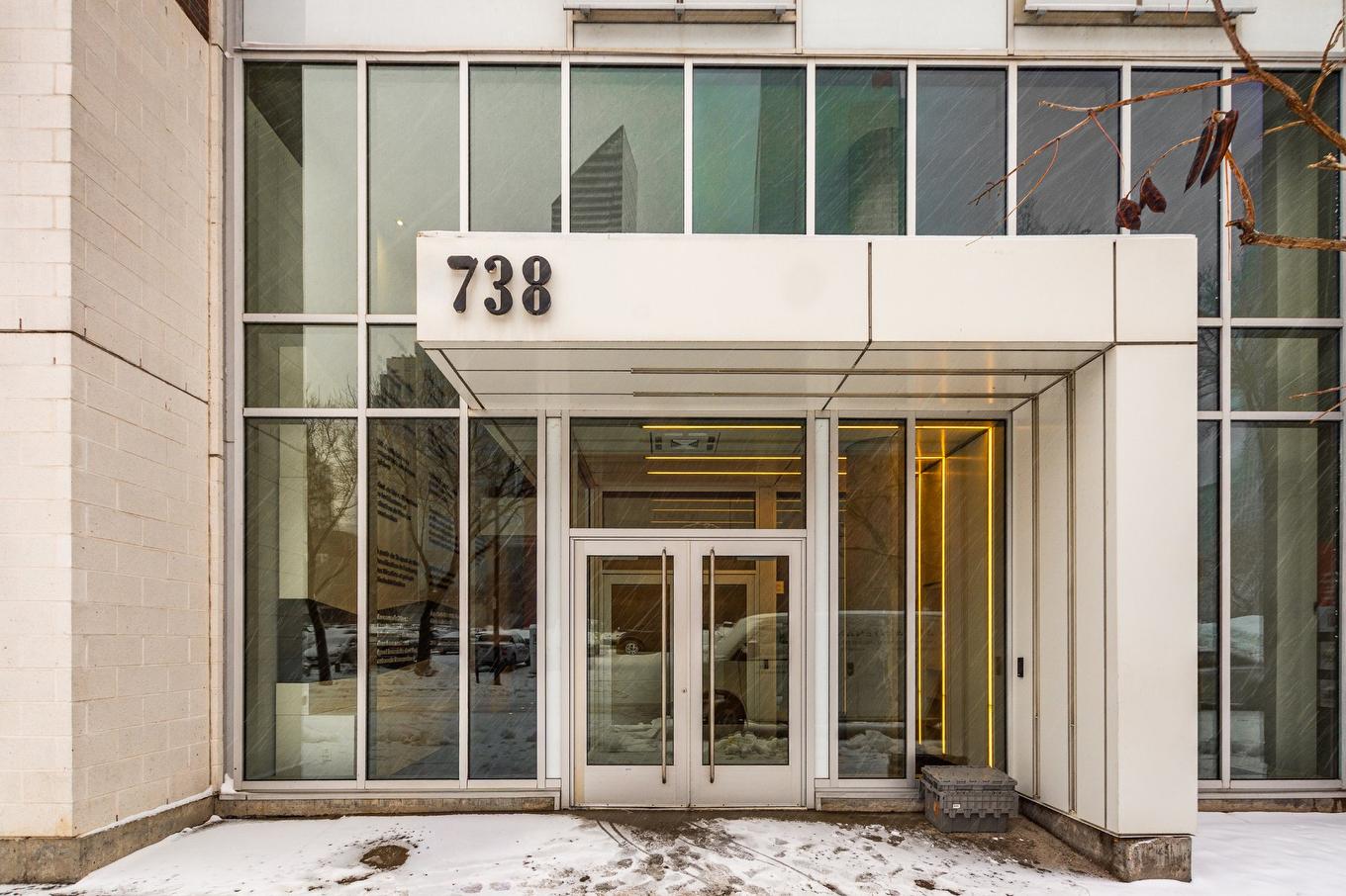 Entrée extérieure - 431-738 Rue St-Paul O., Montréal (Ville-Marie), QC - Outdoor With Exterior