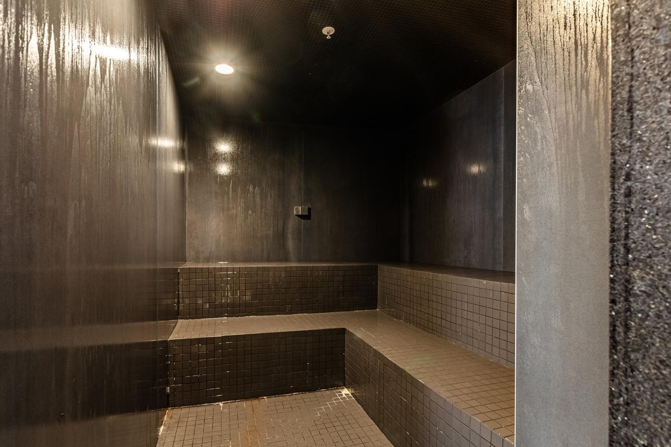 Sauna - 431-738 Rue St-Paul O., Montréal (Ville-Marie), QC - Indoor Photo Showing Other Room