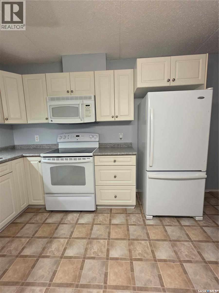 205 701 Henry Street, Estevan, SK - Indoor Photo Showing Kitchen