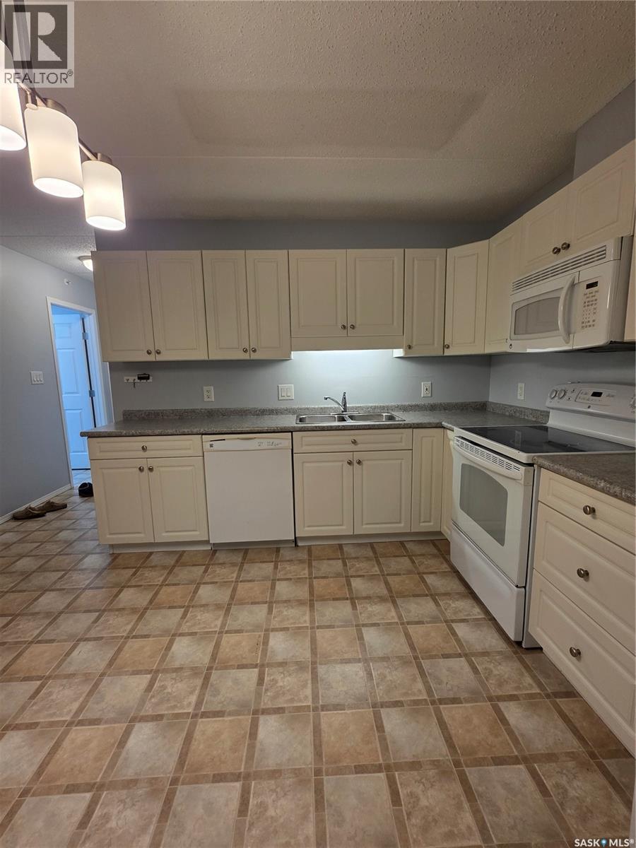 205 701 Henry Street, Estevan, SK - Indoor Photo Showing Kitchen With Double Sink