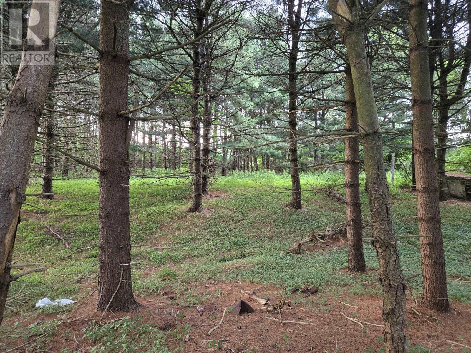 Lot 3 Salmon River Road, Murray Siding, NS