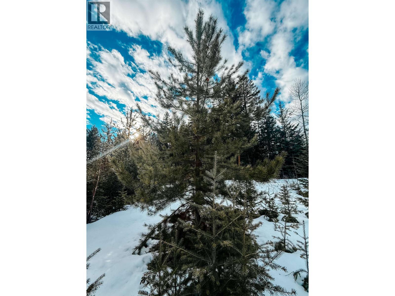 5724 Timothy Lake Road, Lac La Hache, BC