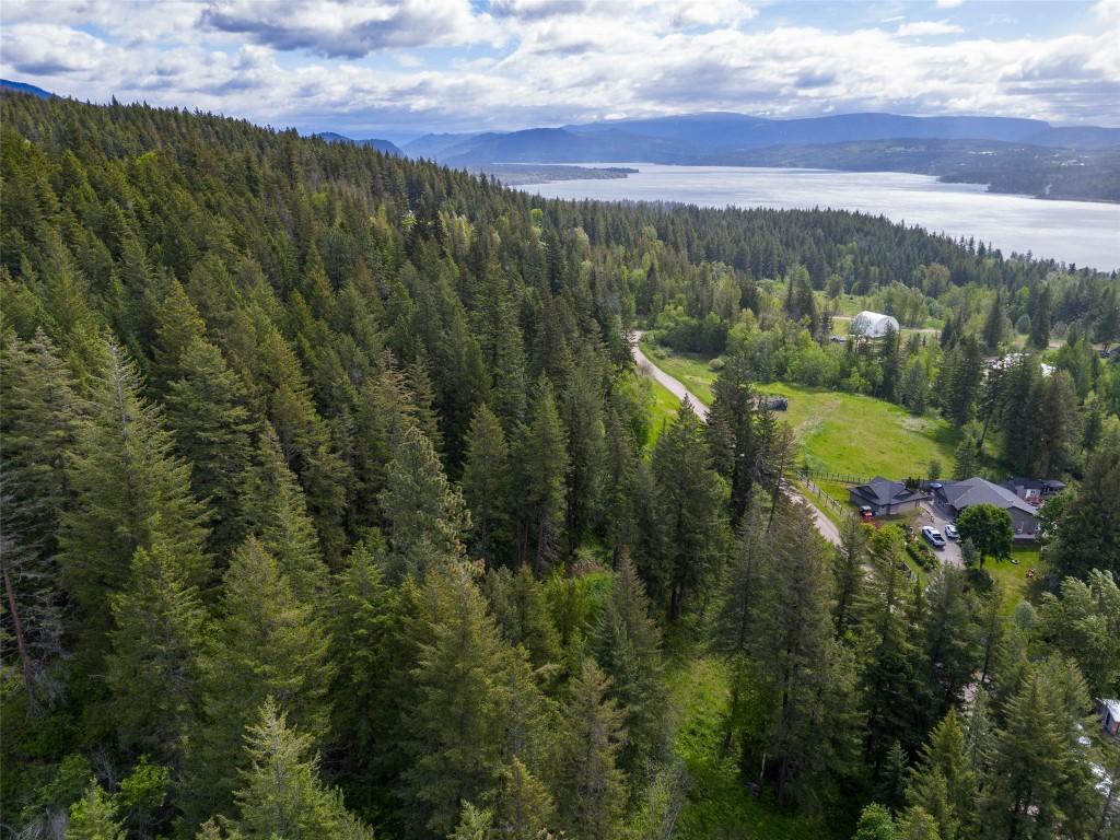 2481 Squilax Anglemont Road, Lee Creek, BC - Outdoor With View