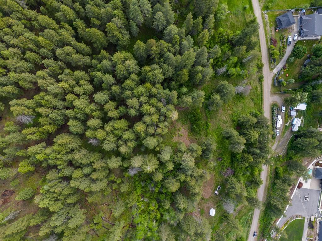 2481 Squilax Anglemont Road, Lee Creek, BC - Outdoor With View