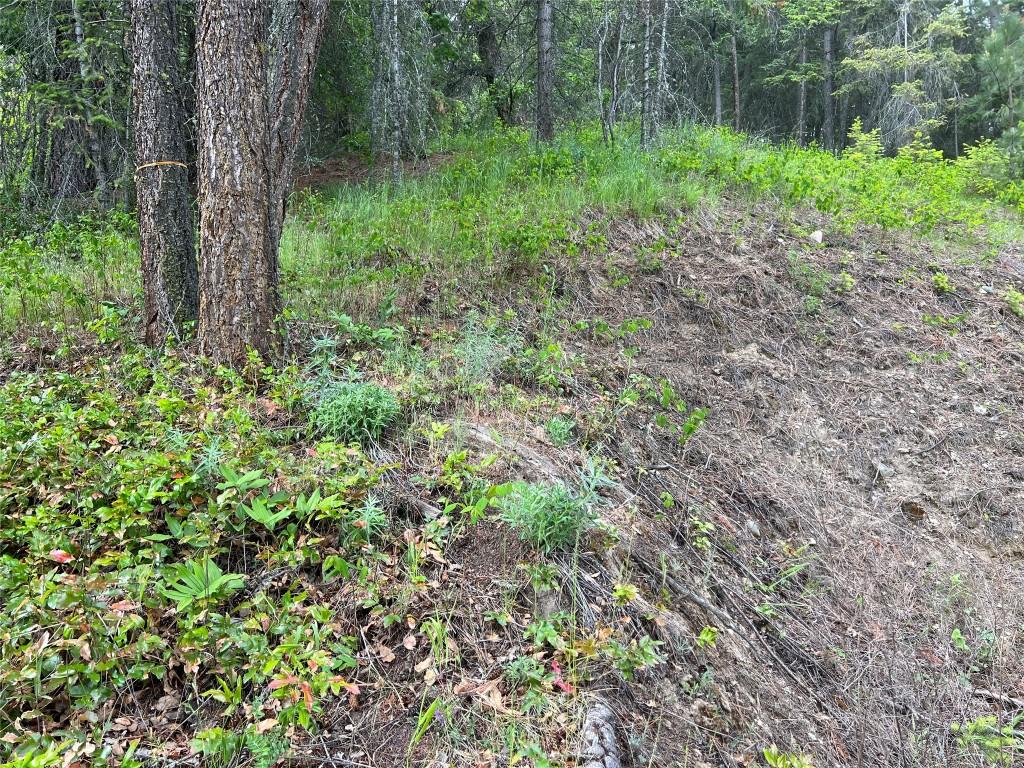 2481 Squilax Anglemont Road, Lee Creek, BC - Outdoor