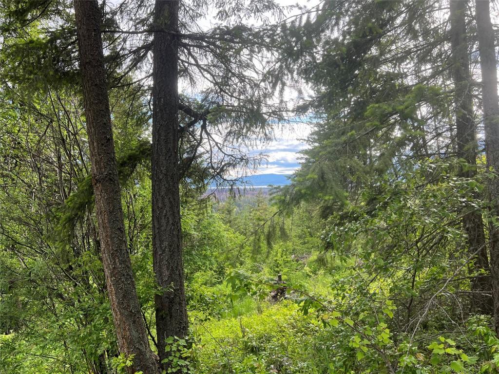 2481 Squilax Anglemont Road, Lee Creek, BC - Outdoor With View
