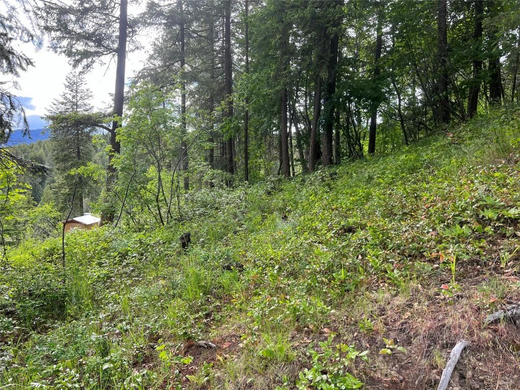 2481 Squilax Anglemont Road, Lee Creek, BC - Outdoor