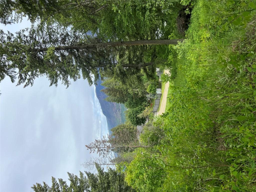 2481 Squilax Anglemont Road, Lee Creek, BC - Outdoor With View