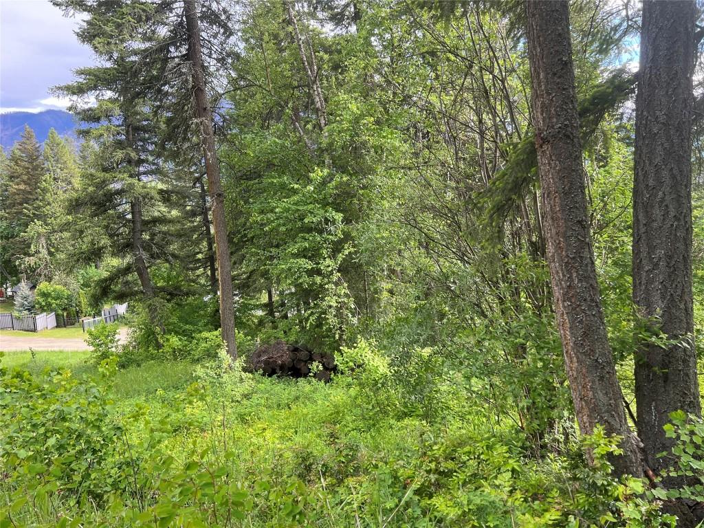 2481 Squilax Anglemont Road, Lee Creek, BC - Outdoor