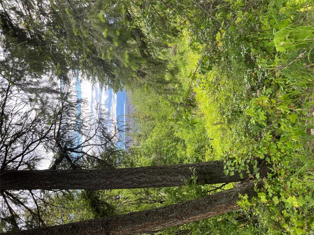 2481 Squilax Anglemont Road, Lee Creek, BC - Outdoor