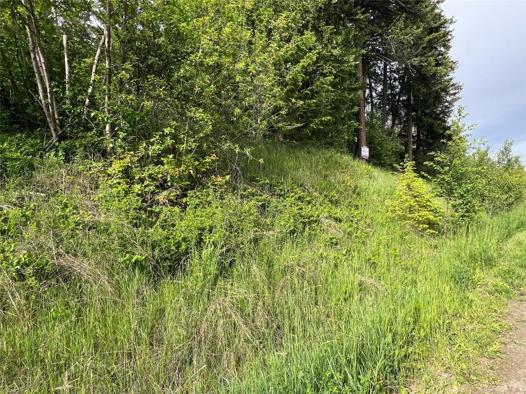 2481 Squilax Anglemont Road, Lee Creek, BC - Outdoor