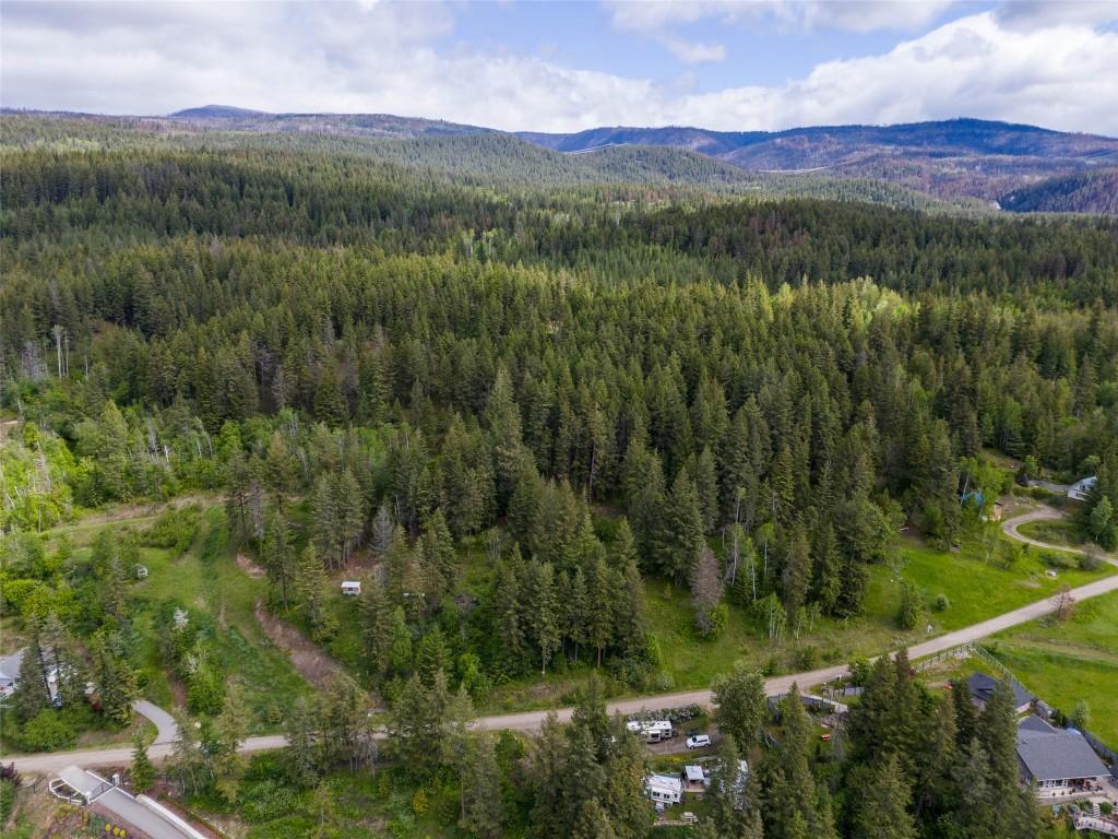 2481 Squilax Anglemont Road, Lee Creek, BC - Outdoor With View