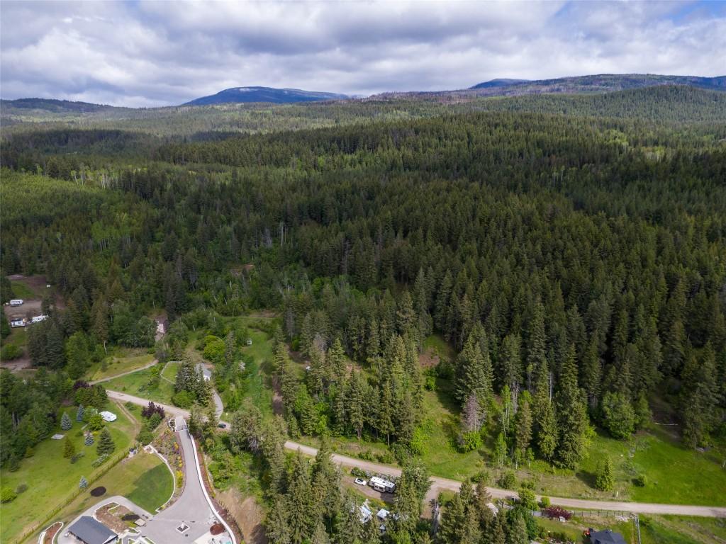 2481 Squilax Anglemont Road, Lee Creek, BC - Outdoor With View