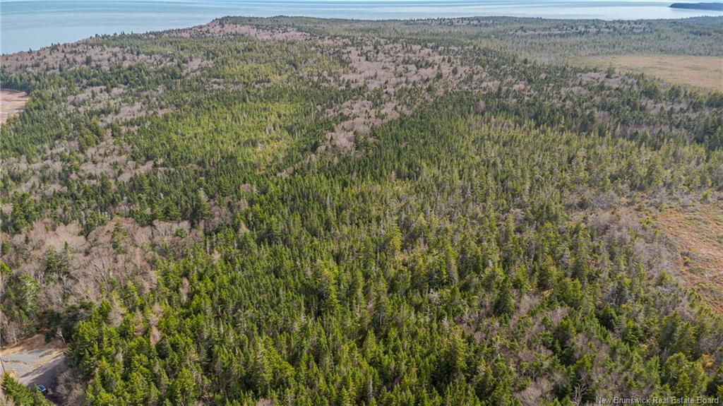 Lot D Old Shore Rd, Tynemouth Creek, NB