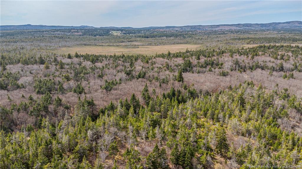 Lot D Old Shore Rd, Tynemouth Creek, NB