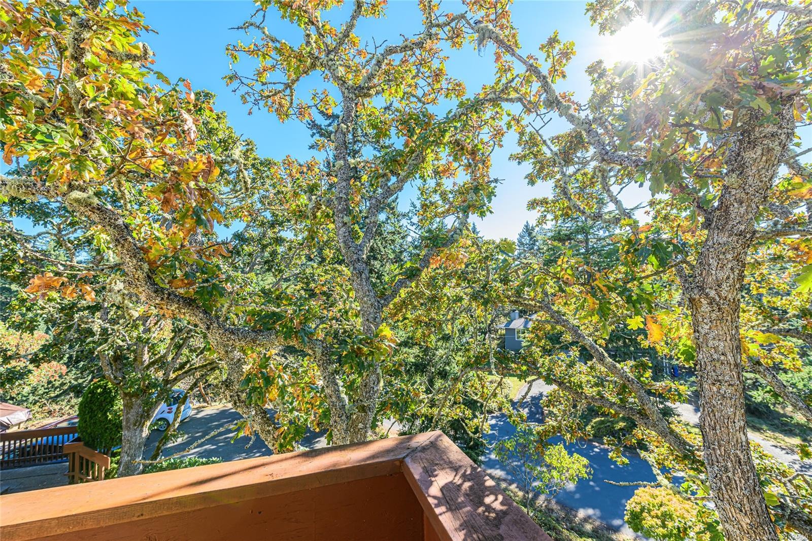 4727 Treetop Hts, Saanich, BC