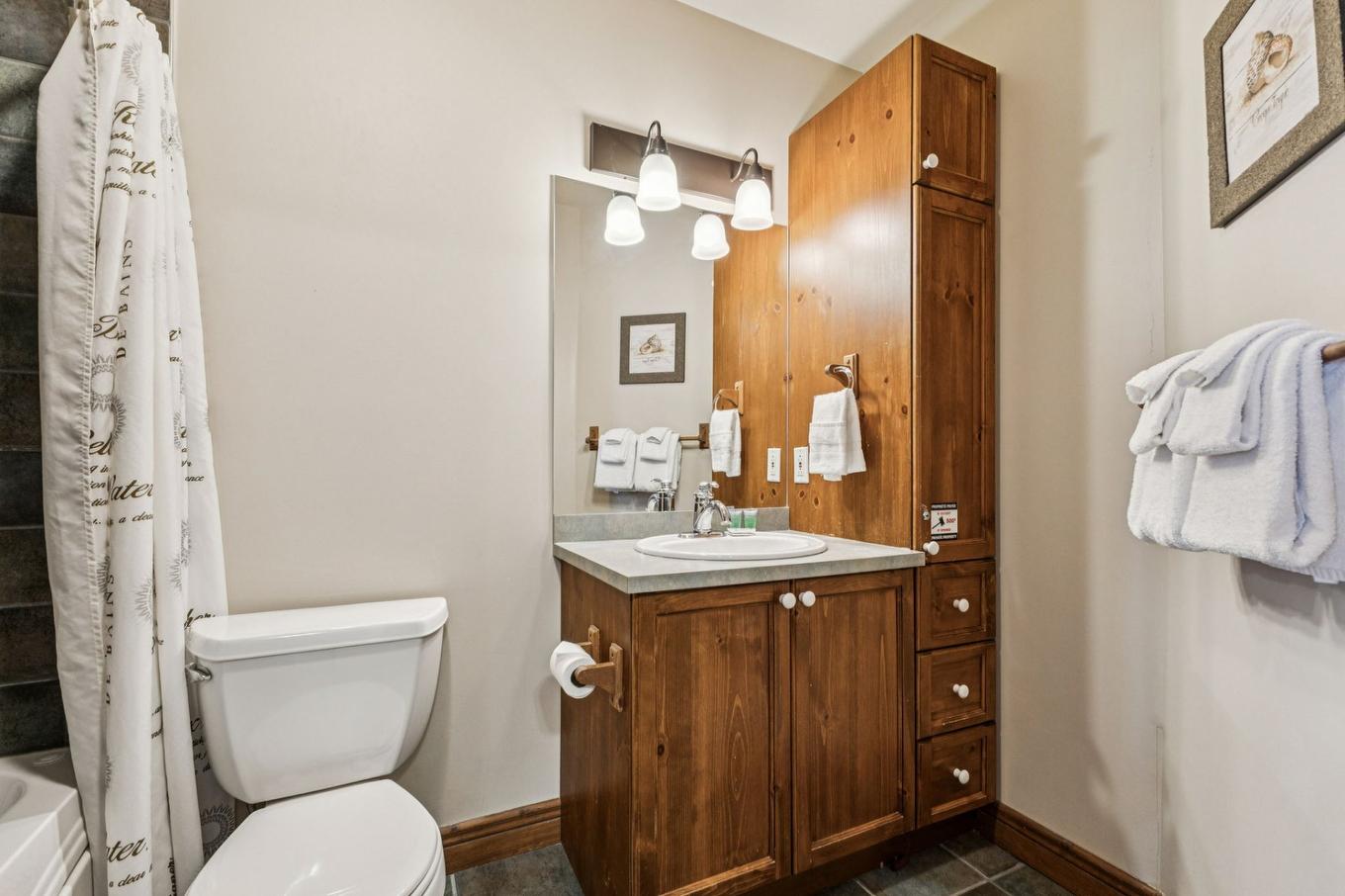 Salle de bains - 7-175 Rue Du Mont-Plaisant, Mont-Tremblant, QC - Indoor Photo Showing Bathroom