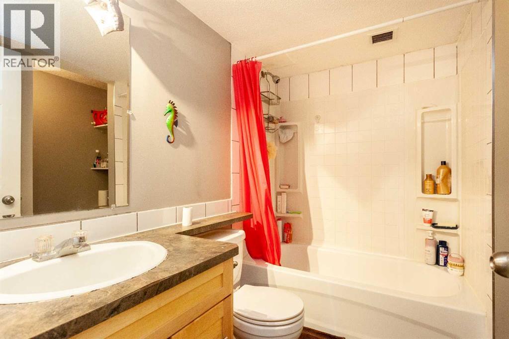 207B, 295 Columbia Boulevard W, Lethbridge, AB - Indoor Photo Showing Bathroom