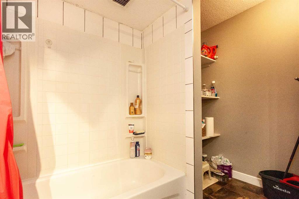 207B, 295 Columbia Boulevard W, Lethbridge, AB - Indoor Photo Showing Bathroom