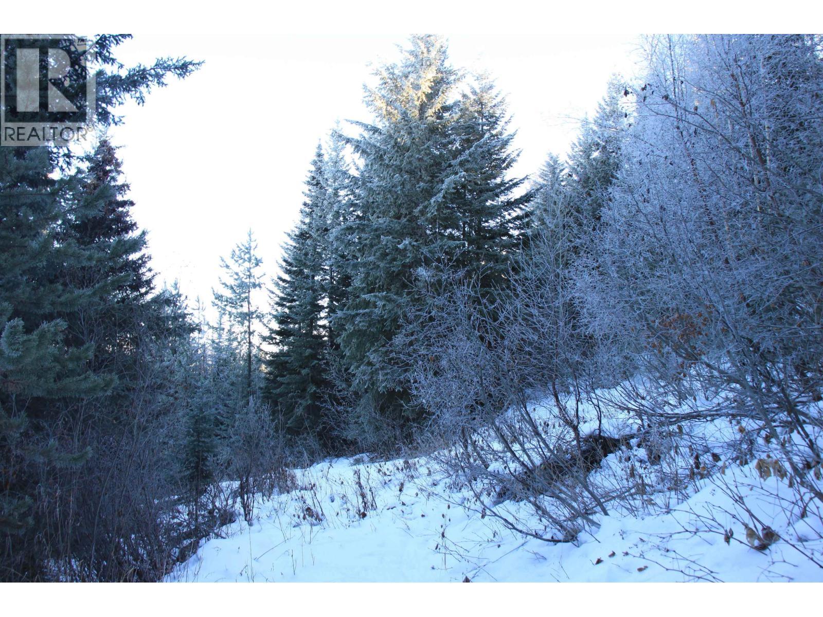 Prop Lot 30 Brown Road, Bridge Lake, BC