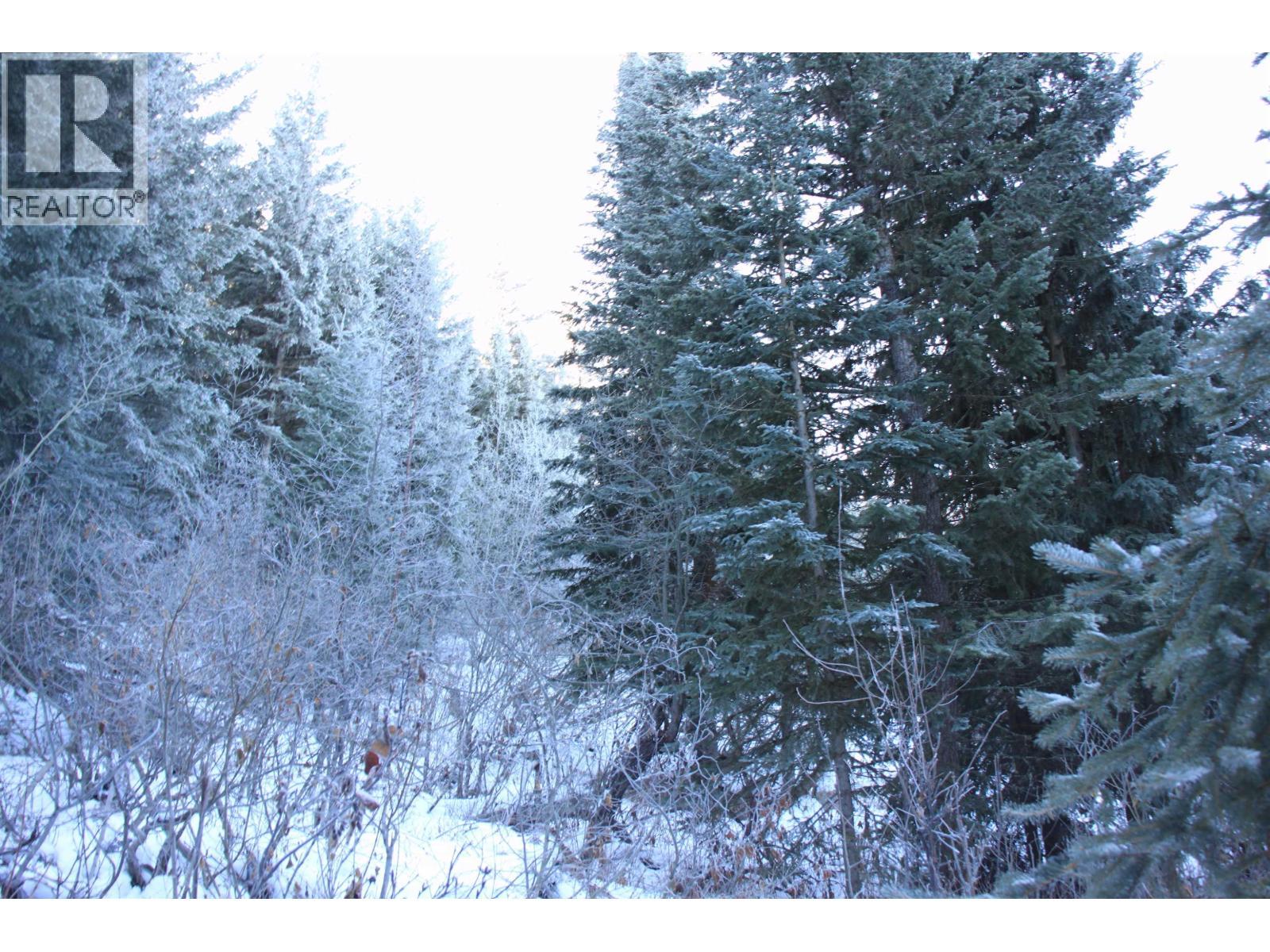 Prop Lot 30 Brown Road, Bridge Lake, BC