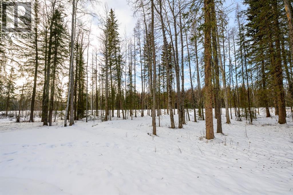 57-704010 64 Range Road, Rural Grande Prairie No. 1, County Of, AB - Outdoor