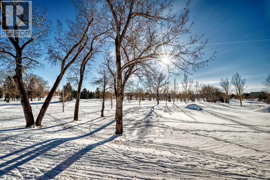 3217, 24 Hemlock Crescent Sw, Calgary, AB - Outdoor With View