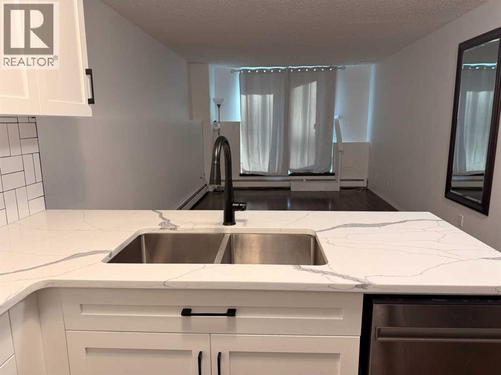 121, 1237 4 Avenue S, Lethbridge, AB - Indoor Photo Showing Kitchen With Double Sink