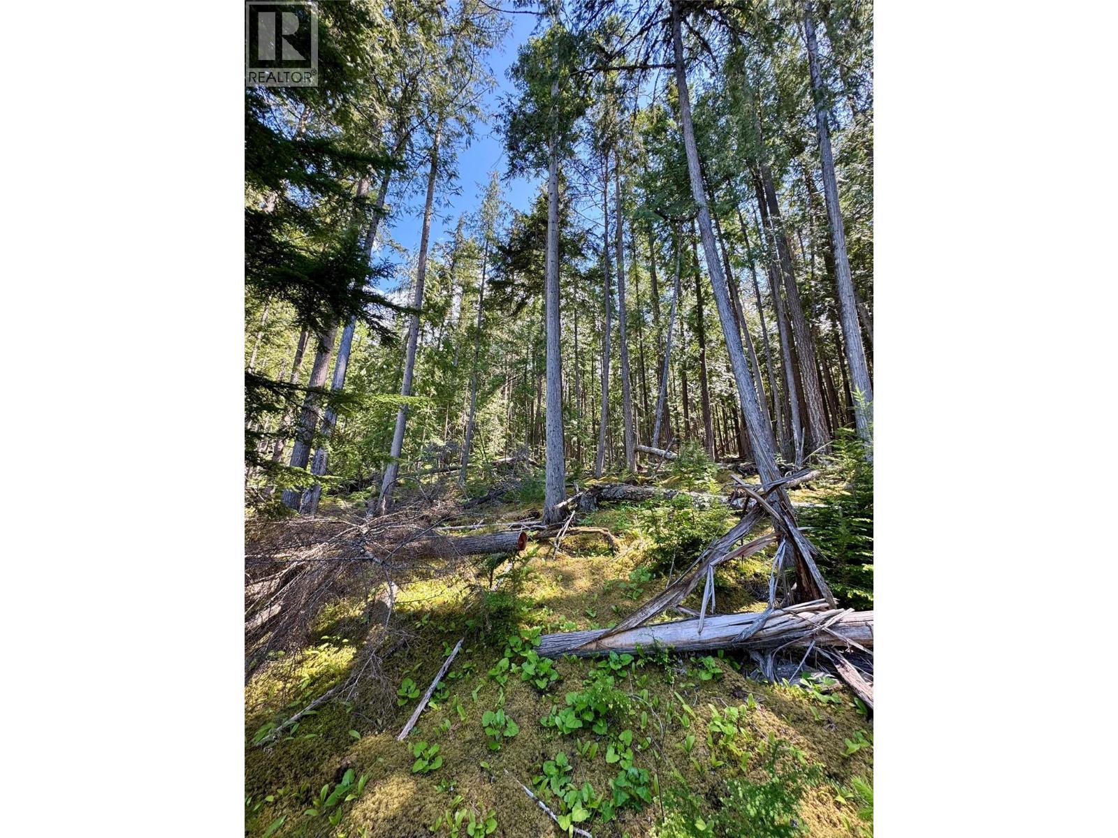 Lot 4 Pete Martin Bay, Sicamous, BC - Outdoor With View