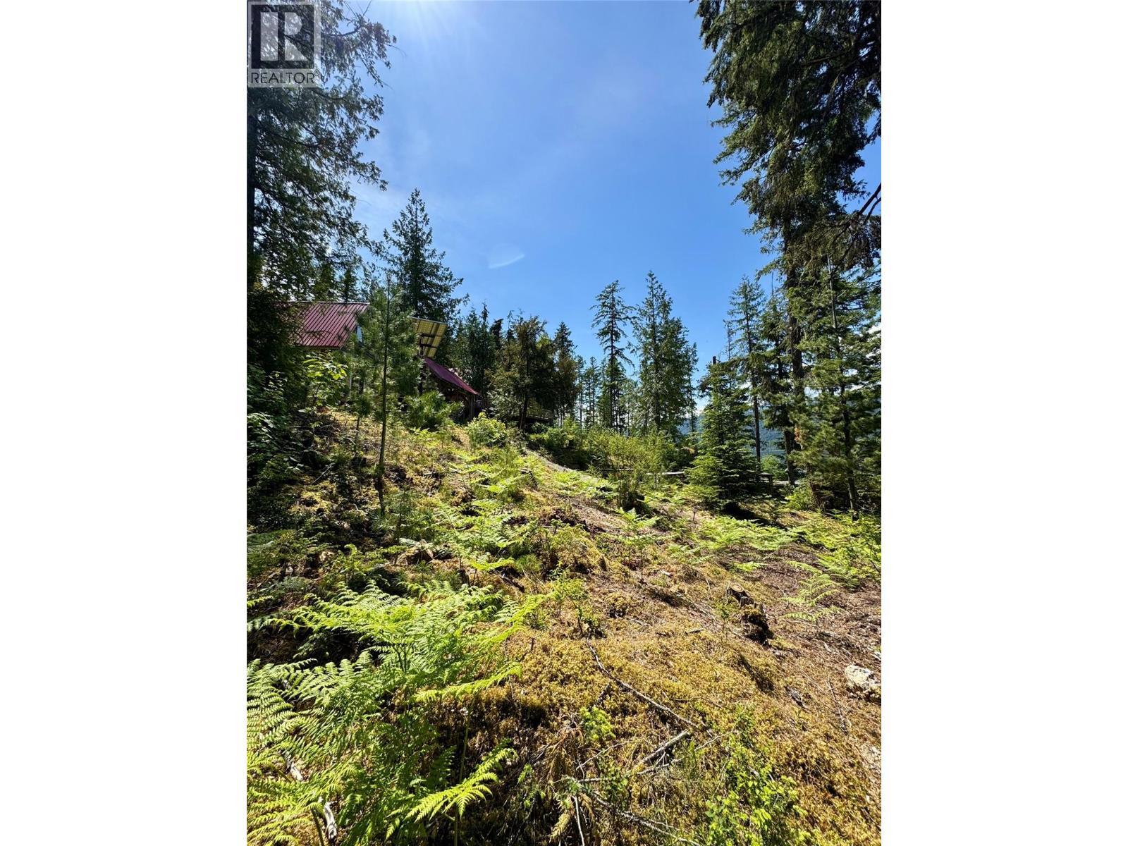 Lot 4 Pete Martin Bay, Sicamous, BC - Outdoor With View