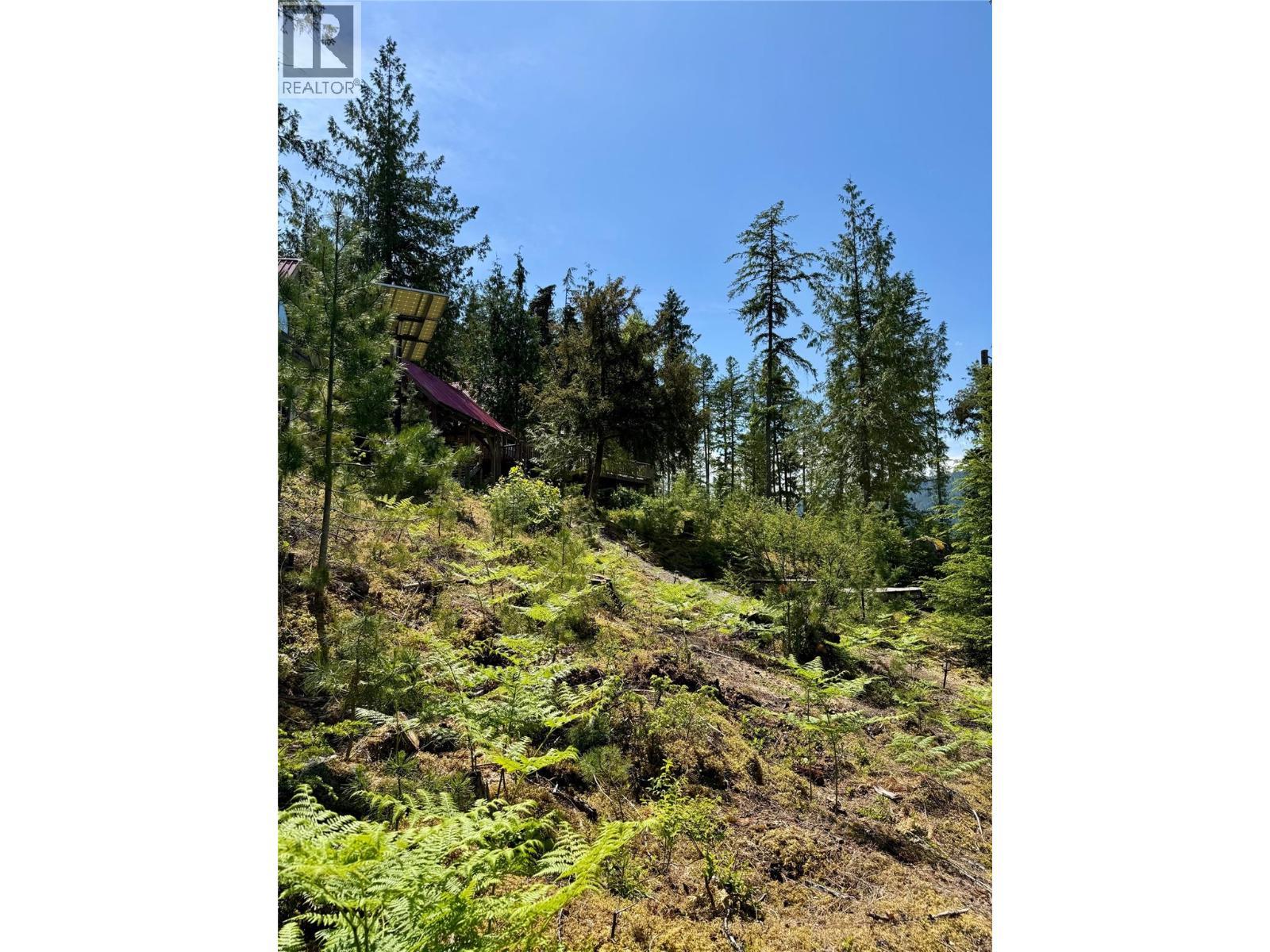Lot 4 Pete Martin Bay, Sicamous, BC - Outdoor With View