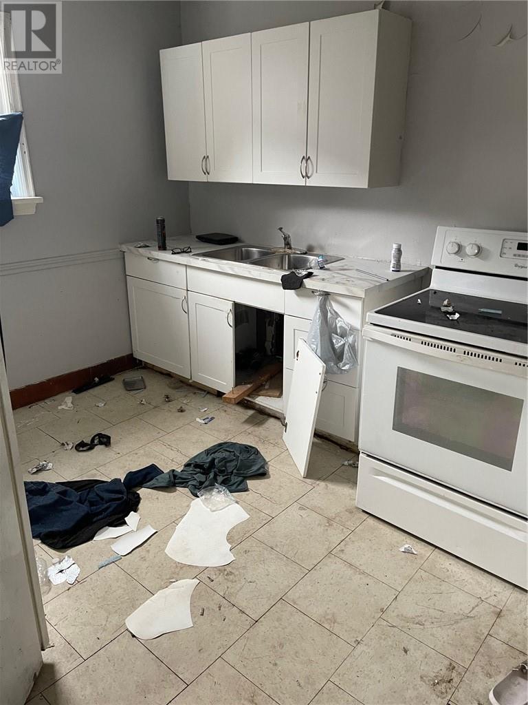 407 Dupont Street, Greater Sudbury, ON - Indoor Photo Showing Kitchen With Double Sink