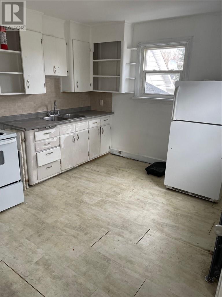 407 Dupont Street, Greater Sudbury, ON - Indoor Photo Showing Kitchen With Double Sink