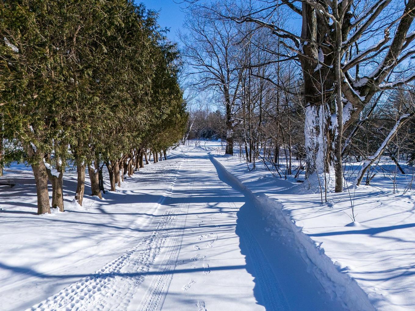 Exterior - 65 Ch. Papineau, Lac-Brome, QC - Outdoor With View