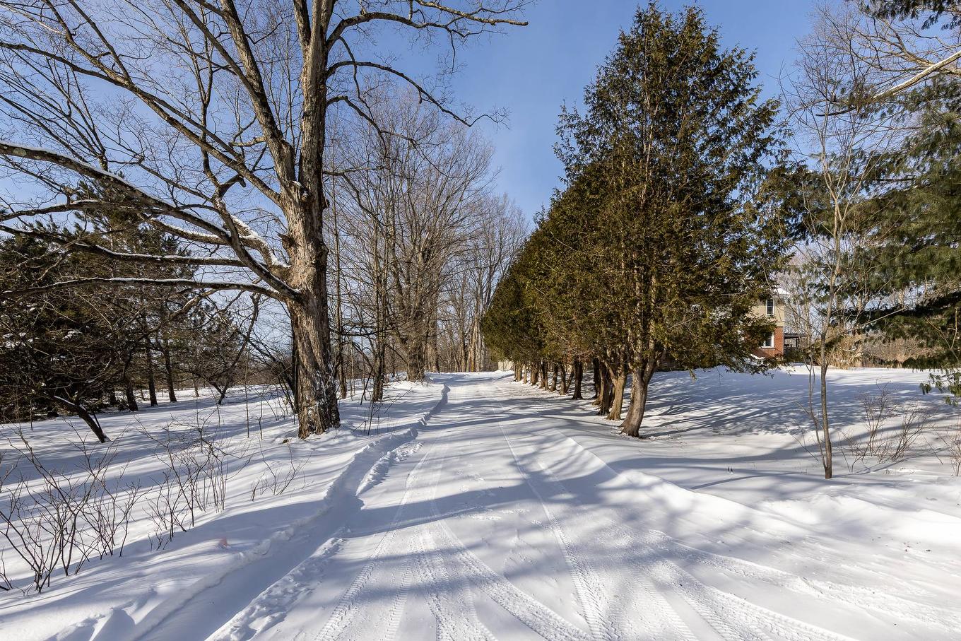 Other - 65 Ch. Papineau, Lac-Brome, QC - Outdoor With View