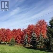 1142 Haig Boulevard, Mississauga, ON