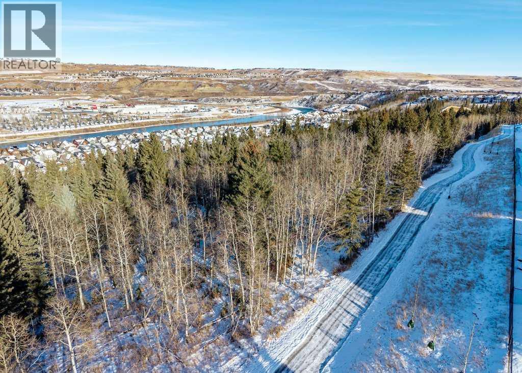 380 Rivercrest View, Cochrane, AB - Outdoor With View