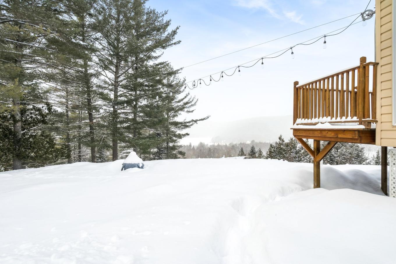 Cour - 60 Ch. De La Côte-À-Menick, Mandeville, QC - Outdoor