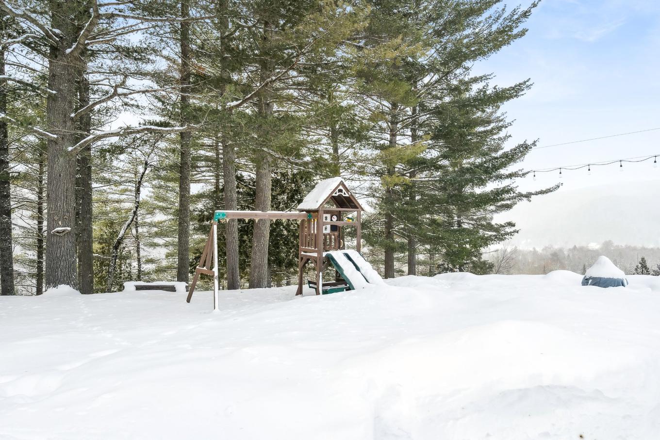 Cour - 60 Ch. De La Côte-À-Menick, Mandeville, QC - Outdoor