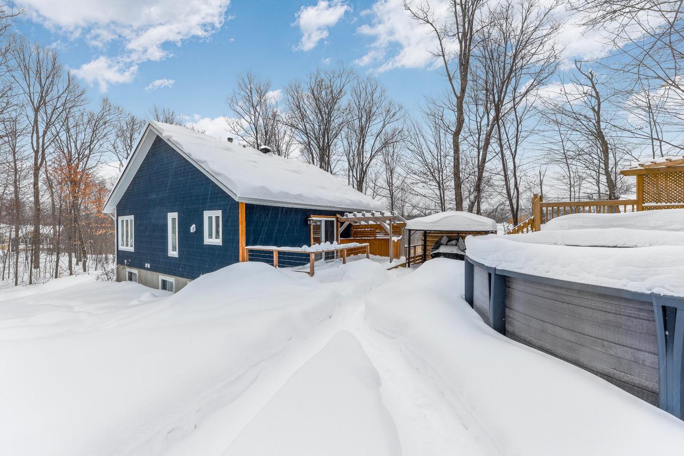 Cour - 21 154E Avenue, Saint-Hippolyte, QC - Outdoor