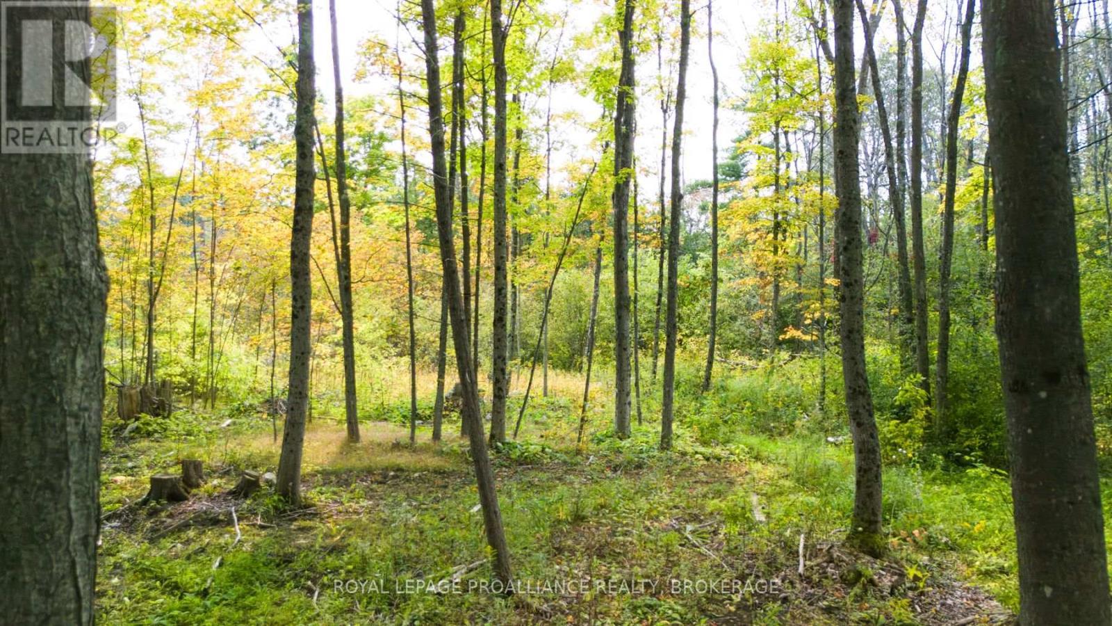 3590 Alton Road W, Frontenac (Frontenac South), ON