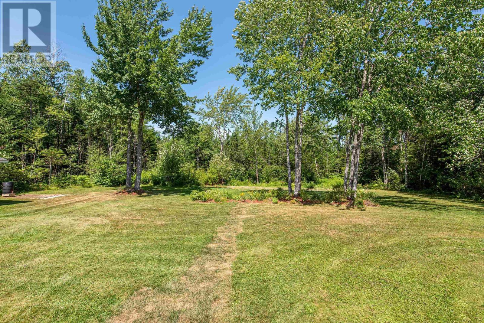 Yard - 617 Highway 277, Dutch Settlement, NS - Outdoor