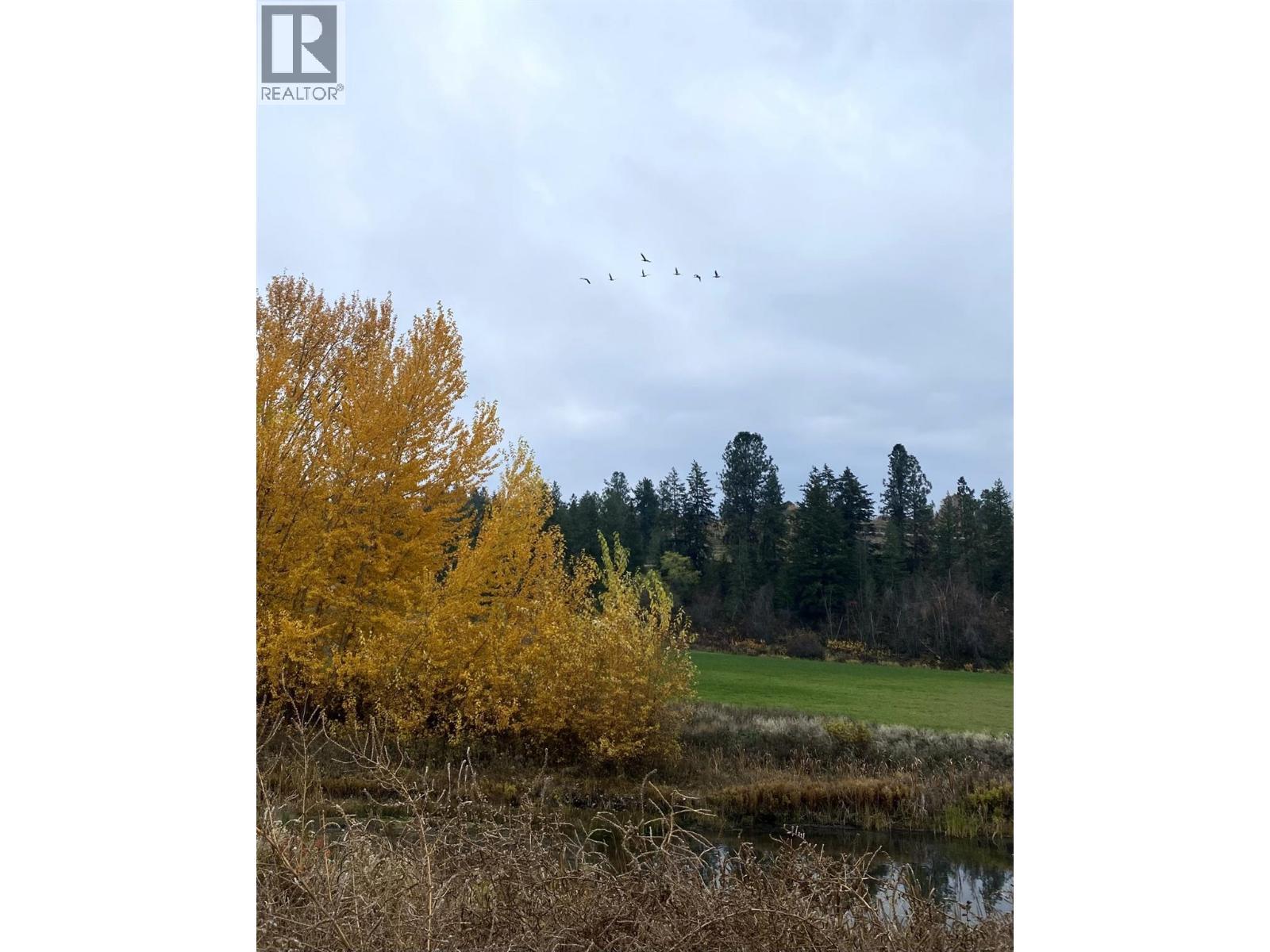 3995 Swamp Road, Kelowna, BC - Outdoor With View