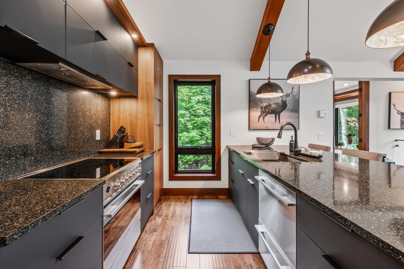 Kitchen - 1740 Place Des Pentes, Sainte-Adèle, QC - Indoor Photo Showing Kitchen With Upgraded Kitchen