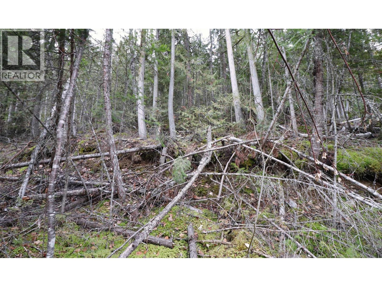 Eagleview Road Lot# 5, Eagle Bay, BC