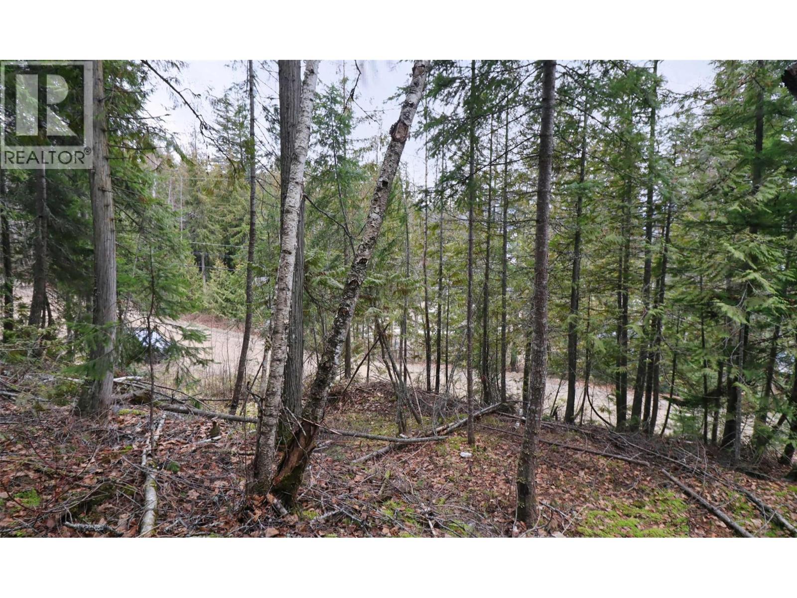 Eagleview Road Lot# 5, Eagle Bay, BC