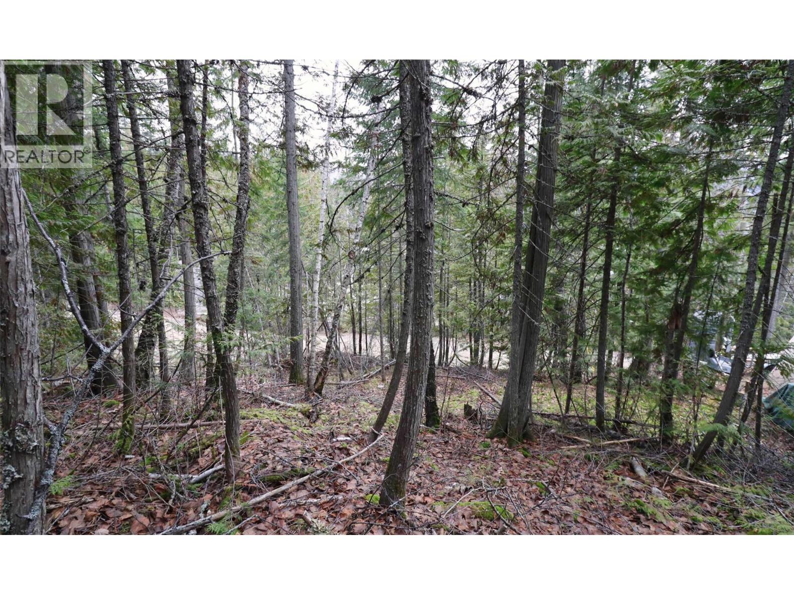 Eagleview Road Lot# 5, Eagle Bay, BC