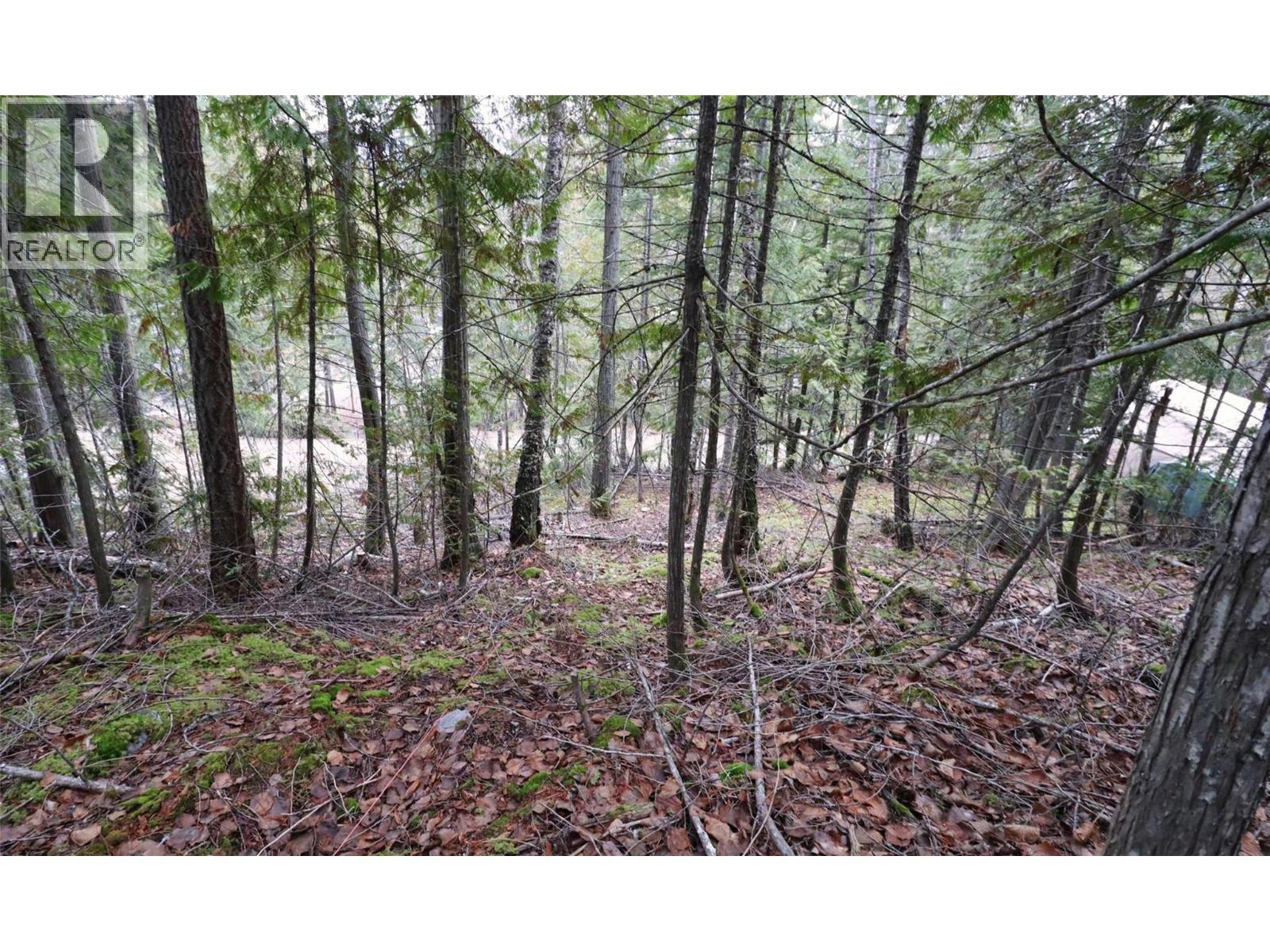 Eagleview Road Lot# 5, Eagle Bay, BC