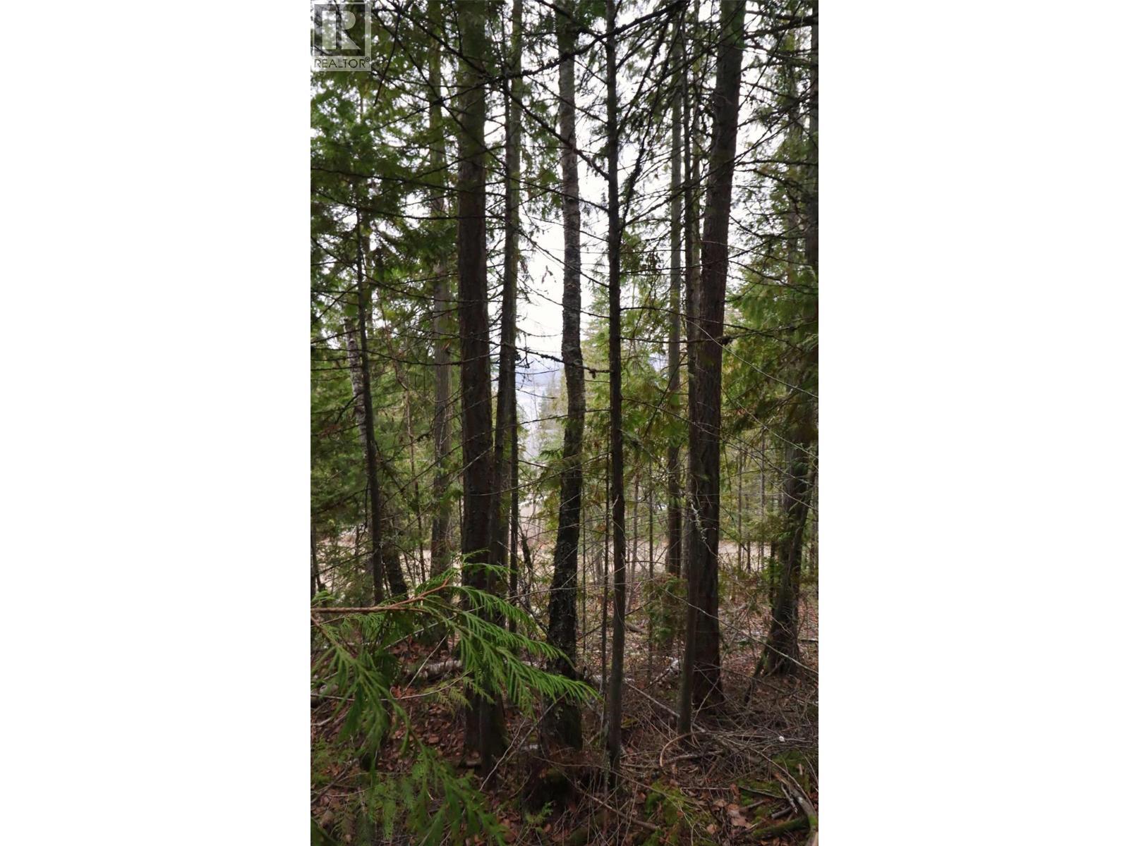 Eagleview Road Lot# 5, Eagle Bay, BC