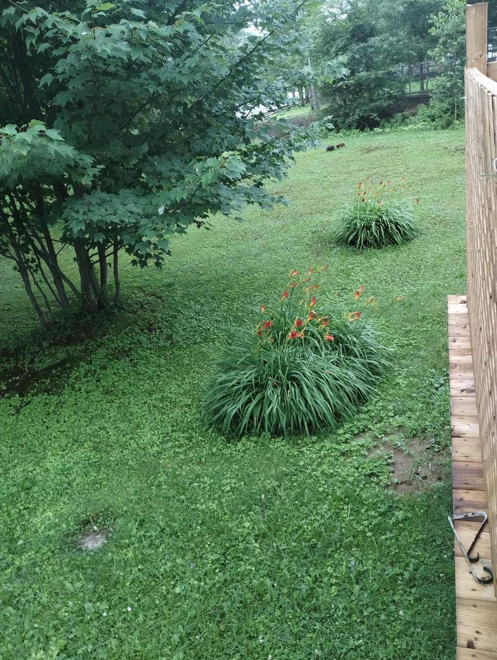 Land/Lot - 328 Route Du Canton, Brownsburg-Chatham, QC - Outdoor